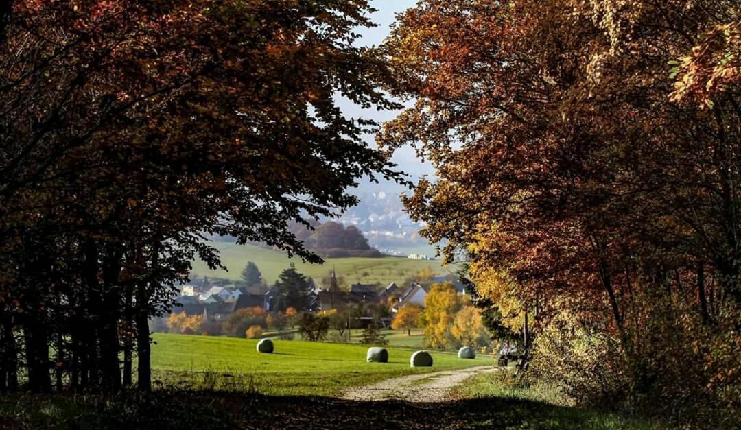 Ferienwohnung Alpaka Blick Schneppenbach Zewnętrze zdjęcie
