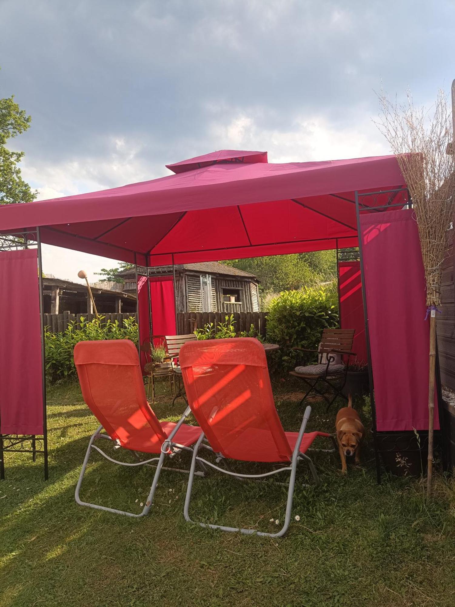 Ferienwohnung Alpaka Blick Schneppenbach Zewnętrze zdjęcie
